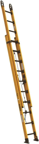 DeWalt Type IAA 375lb Rated FG Extension w/ProGrips 20' DXL3420-20PG