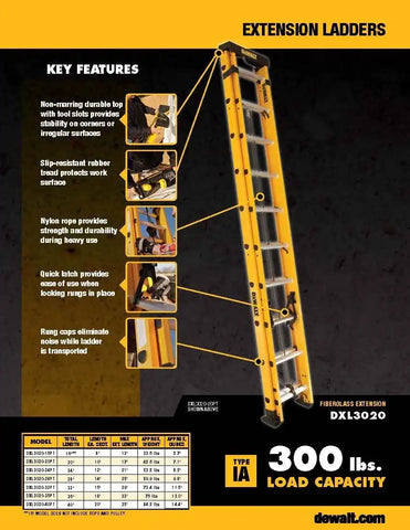 DeWalt Type IA 300lb Rated FG Extension w/ProTop 20' DXL3020-20PT