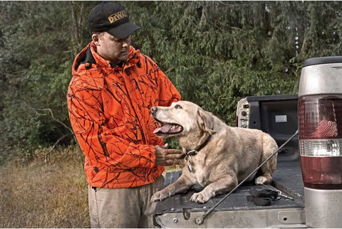DEWALT DCHJ063C1-S 20V/12V MAX Blaze Camo Heated Jacket Kit, Small