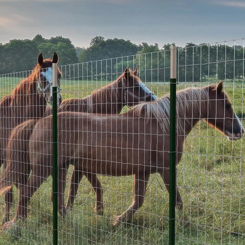 DeWALT – Horse Fence – 48 in. x 100 ft. 12.5‑Gauge Galvanized Steel – for Horse Enclosures | Pasture Fencing | Farm and Property Protection