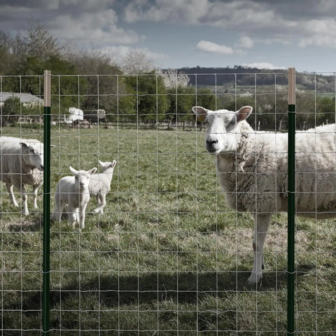 DeWALT – 4 in. x 4 in. Mesh Welded Wire Fence – 48 in. x 330 ft. 12.5‑Gauge Galvanized Steel – for Sheep and Goat Enclosures | Pasture Fencing | Farm and Property Protection